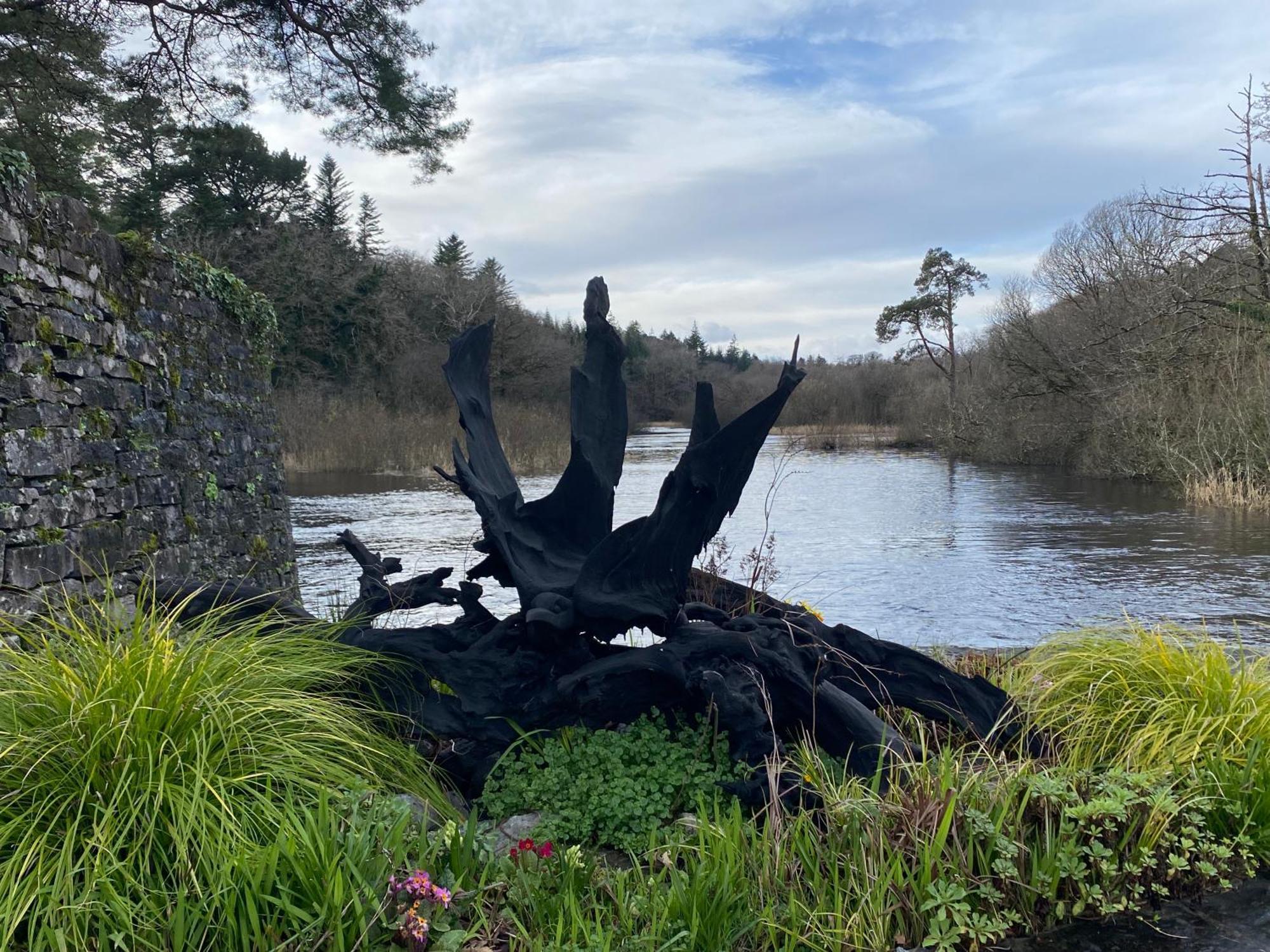 Salmon Weir Lodge Cong Eksteriør bilde